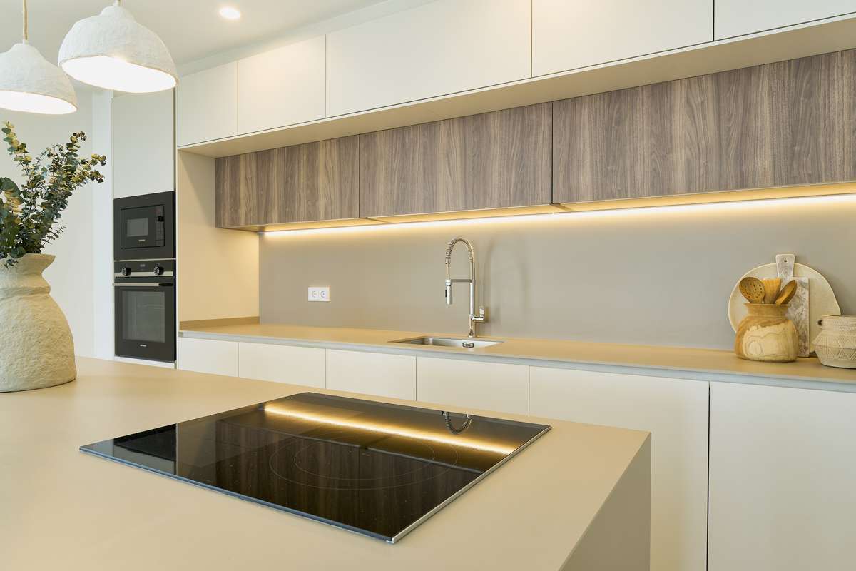 Imagen 12