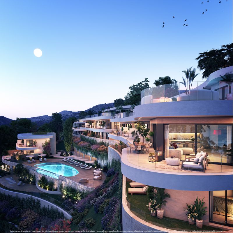Imagen 24