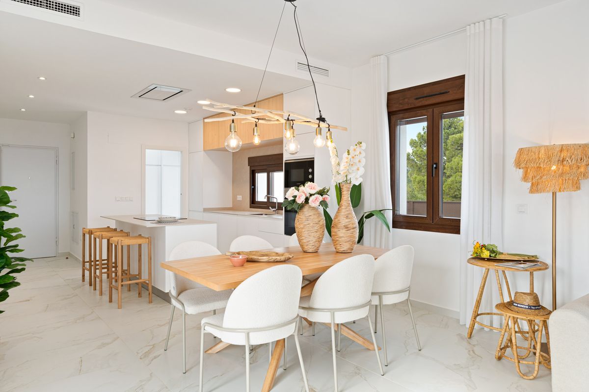 Imagen 7