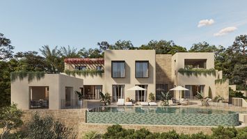 Oasis 005